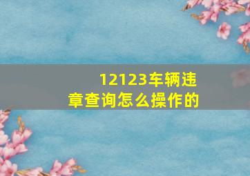 12123车辆违章查询怎么操作的