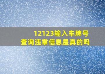 12123输入车牌号查询违章信息是真的吗