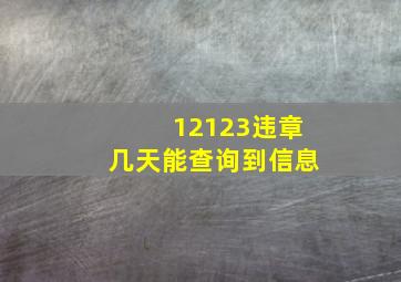 12123违章几天能查询到信息