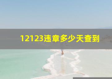 12123违章多少天查到