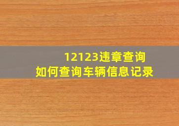 12123违章查询如何查询车辆信息记录