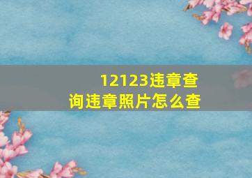 12123违章查询违章照片怎么查