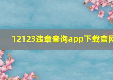 12123违章查询app下载官网