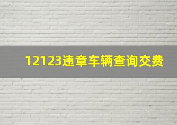 12123违章车辆查询交费