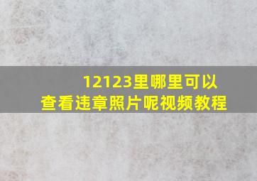 12123里哪里可以查看违章照片呢视频教程