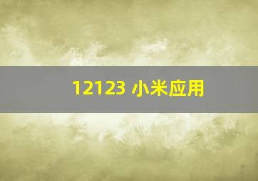 12123 小米应用