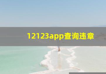 12123app查询违章