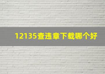 12135查违章下载哪个好