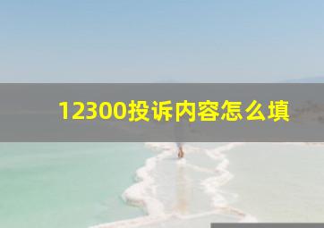 12300投诉内容怎么填