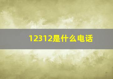 12312是什么电话