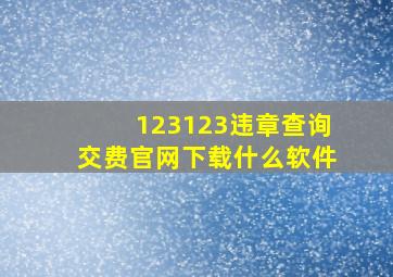 123123违章查询交费官网下载什么软件