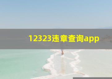 12323违章查询app