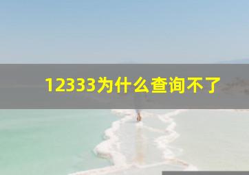 12333为什么查询不了