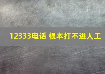 12333电话 根本打不进人工