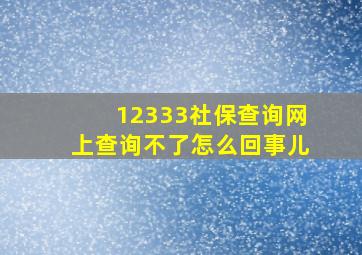 12333社保查询网上查询不了怎么回事儿