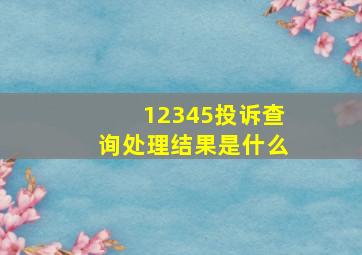 12345投诉查询处理结果是什么