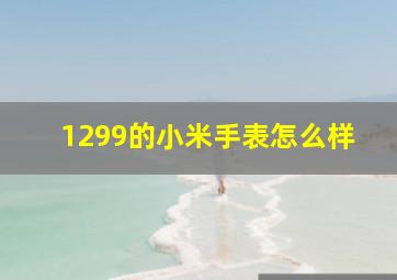 1299的小米手表怎么样