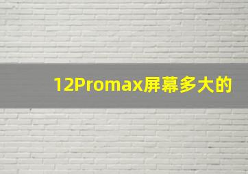 12Promax屏幕多大的