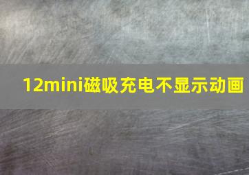 12mini磁吸充电不显示动画