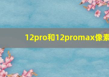 12pro和12promax像素