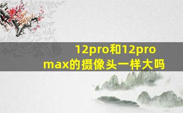 12pro和12promax的摄像头一样大吗