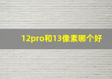 12pro和13像素哪个好