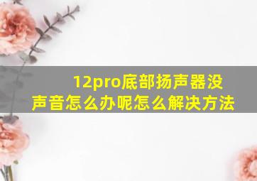 12pro底部扬声器没声音怎么办呢怎么解决方法