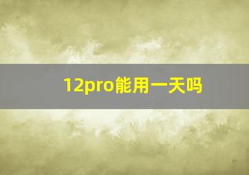 12pro能用一天吗