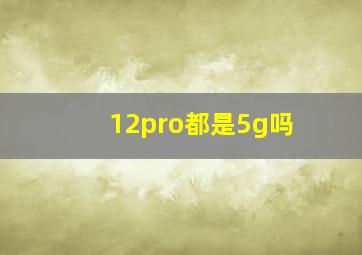 12pro都是5g吗