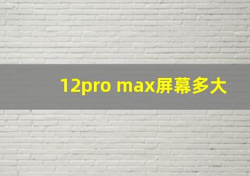 12pro max屏幕多大