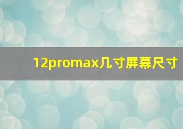 12promax几寸屏幕尺寸