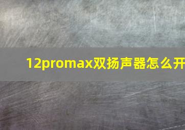 12promax双扬声器怎么开