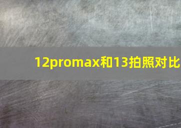 12promax和13拍照对比