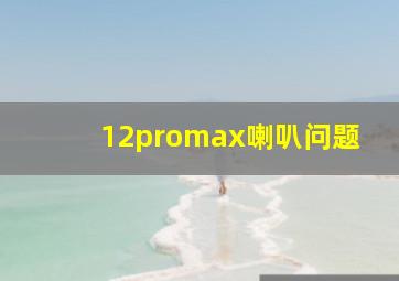 12promax喇叭问题