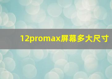 12promax屏幕多大尺寸