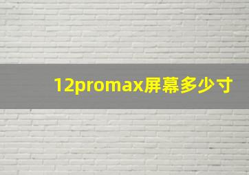 12promax屏幕多少寸