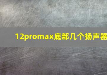 12promax底部几个扬声器