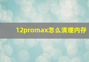 12promax怎么清理内存