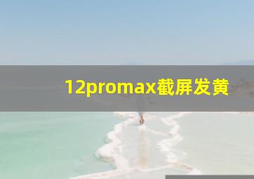 12promax截屏发黄