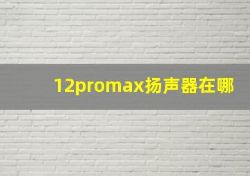 12promax扬声器在哪