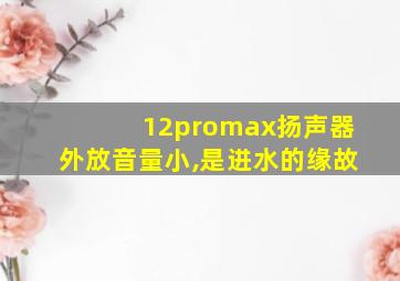 12promax扬声器外放音量小,是进水的缘故