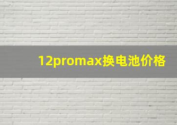 12promax换电池价格