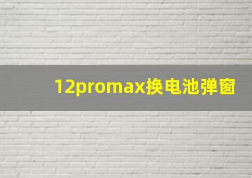 12promax换电池弹窗