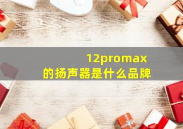 12promax的扬声器是什么品牌