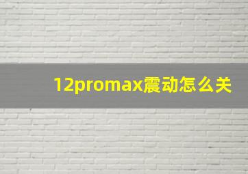 12promax震动怎么关