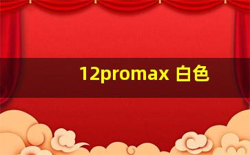 12promax 白色