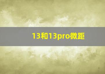 13和13pro微距