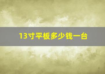 13寸平板多少钱一台