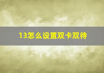 13怎么设置双卡双待