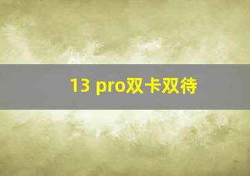 13 pro双卡双待